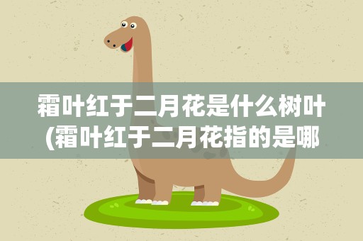 霜叶红于二月花是什么树叶(霜叶红于二月花指的是哪种树叶)