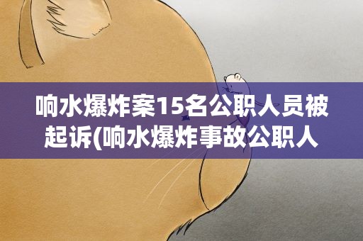 响水爆炸案15名公职人员被起诉(响水爆炸事故公职人员处理结果)