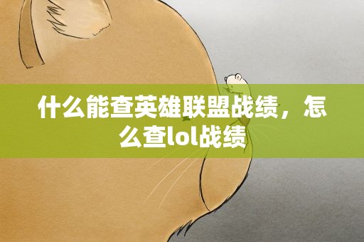 什么能查英雄联盟战绩，怎么查lol战绩