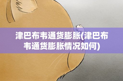津巴布韦通货膨胀(津巴布韦通货膨胀情况如何)