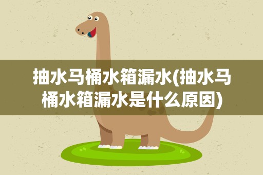 抽水马桶水箱漏水(抽水马桶水箱漏水是什么原因)