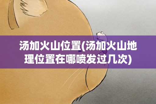 汤加火山位置(汤加火山地理位置在哪喷发过几次)
