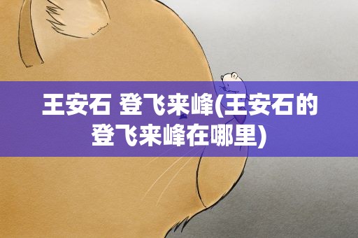 王安石 登飞来峰(王安石的登飞来峰在哪里)