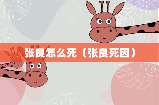 张良怎么死（张良死因）