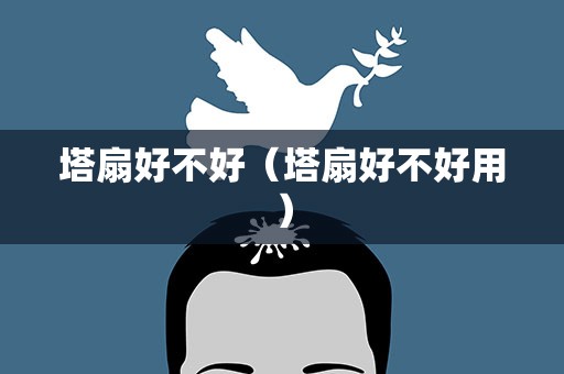 塔扇好不好（塔扇好不好用）