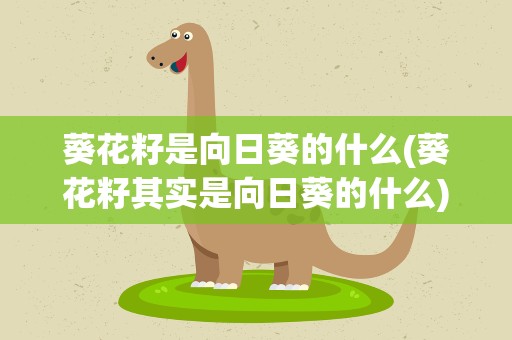 葵花籽是向日葵的什么(葵花籽其实是向日葵的什么)