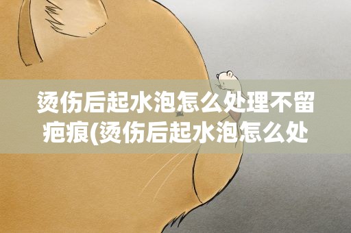 烫伤后起水泡怎么处理不留疤痕(烫伤后起水泡怎么处理不留疤痕烫伤用什么方法最快好)