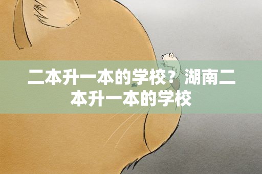 二本升一本的学校？湖南二本升一本的学校