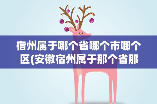 宿州属于哪个省哪个市哪个区(安徽宿州属于那个省那个市)