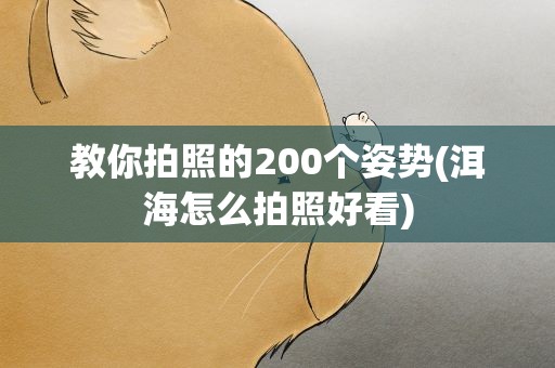 教你拍照的200个姿势(洱海怎么拍照好看)