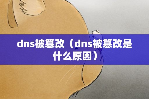 dns被篡改（dns被篡改是什么原因）