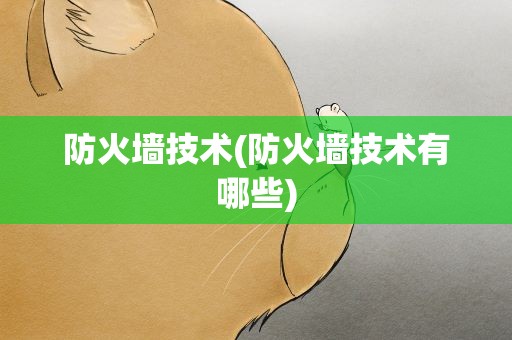 防火墙技术(防火墙技术有哪些)