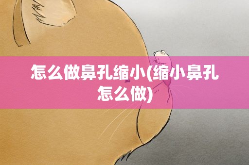 怎么做鼻孔缩小(缩小鼻孔怎么做)