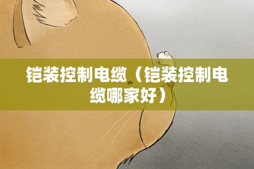 铠装控制电缆（铠装控制电缆哪家好）