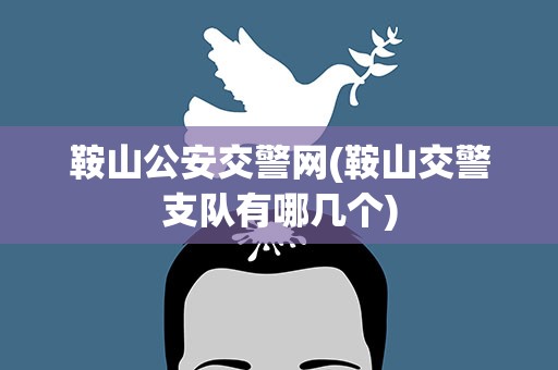 鞍山公安交警网(鞍山交警支队有哪几个)