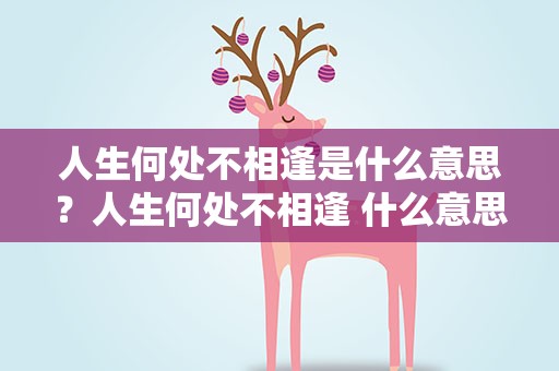 人生何处不相逢是什么意思？人生何处不相逢 什么意思