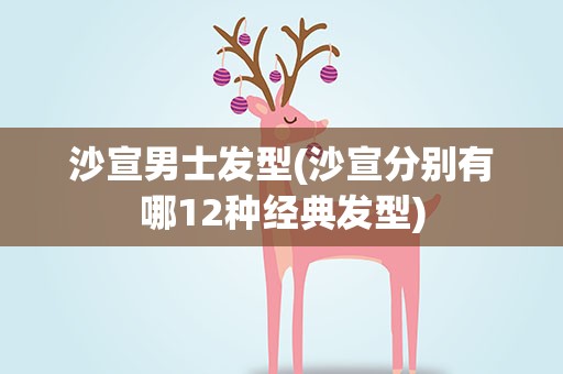 沙宣男士发型(沙宣分别有哪12种经典发型)