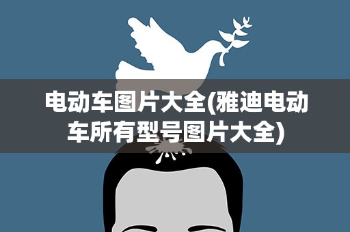 电动车图片大全(雅迪电动车所有型号图片大全)