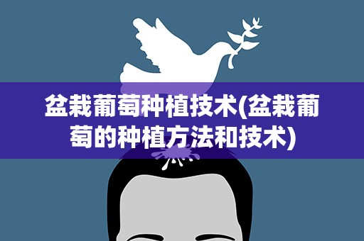 盆栽葡萄种植技术(盆栽葡萄的种植方法和技术)