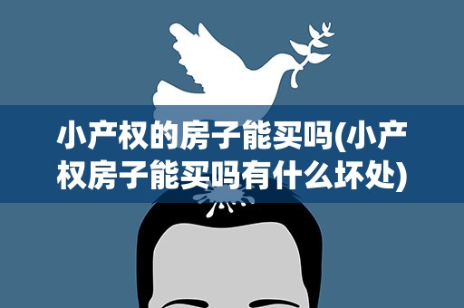小产权的房子能买吗(小产权房子能买吗有什么坏处)