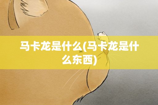 马卡龙是什么(马卡龙是什么东西)