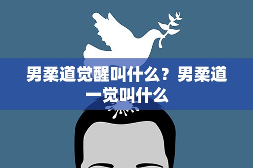 男柔道觉醒叫什么？男柔道一觉叫什么