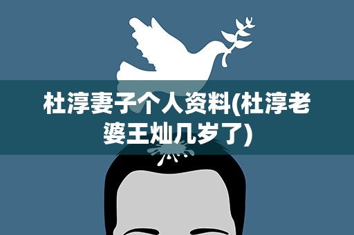 杜淳妻子个人资料(杜淳老婆王灿几岁了)