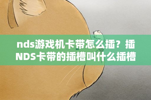 nds游戏机卡带怎么插？插NDS卡带的插槽叫什么插槽