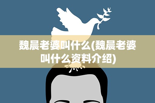 魏晨老婆叫什么(魏晨老婆叫什么资料介绍)