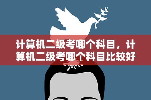 计算机二级考哪个科目，计算机二级考哪个科目比较好