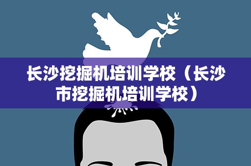 长沙挖掘机培训学校（长沙市挖掘机培训学校）