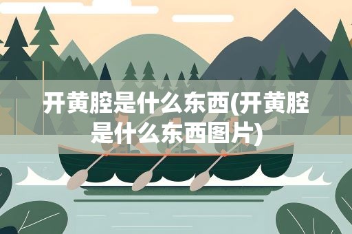 开黄腔是什么东西(开黄腔是什么东西图片)