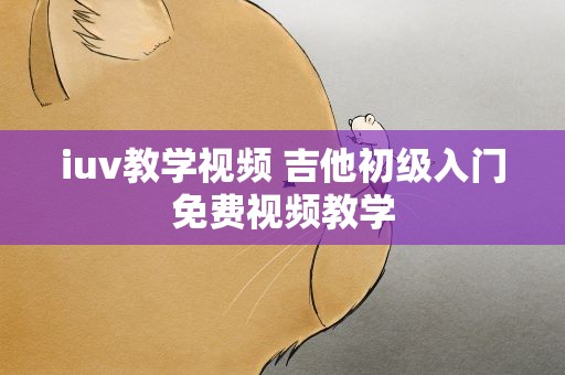iuv教学视频 吉他初级入门免费视频教学