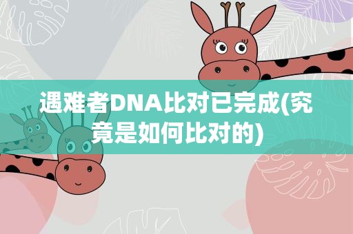 遇难者DNA比对已完成(究竟是如何比对的)