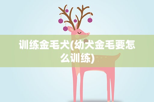 训练金毛犬(幼犬金毛要怎么训练)
