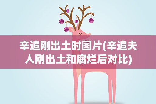 辛追刚出土时图片(辛追夫人刚出土和腐烂后对比)
