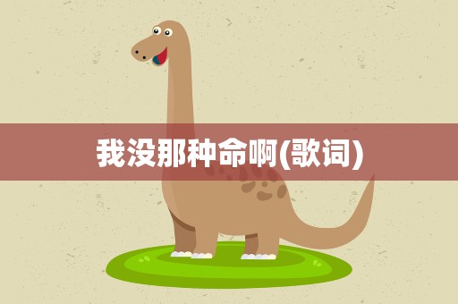 我没那种命啊(歌词)