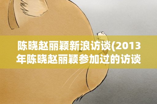 陈晓赵丽颖新浪访谈(2013年陈晓赵丽颖参加过的访谈有哪些)