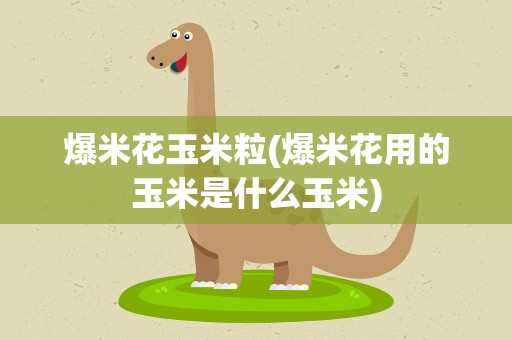 爆米花玉米粒(爆米花用的玉米是什么玉米)