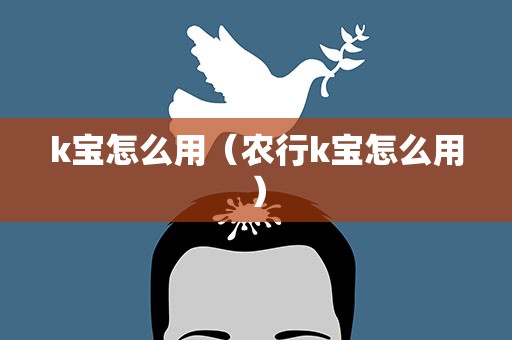 k宝怎么用（农行k宝怎么用）