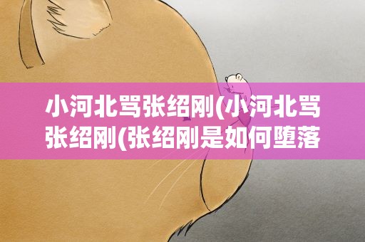 小河北骂张绍刚(小河北骂张绍刚(张绍刚是如何堕落的))