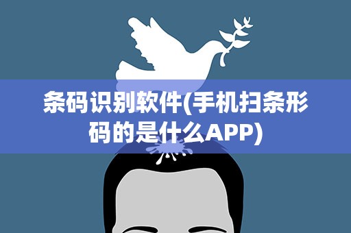 条码识别软件(手机扫条形码的是什么APP)