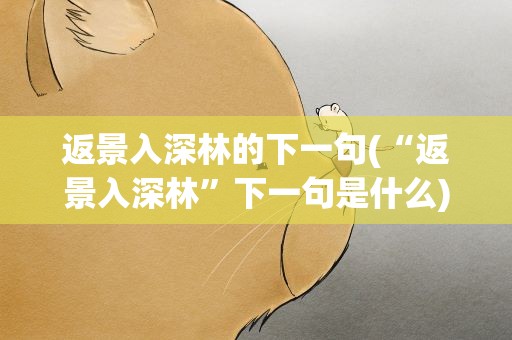 返景入深林的下一句(“返景入深林”下一句是什么)