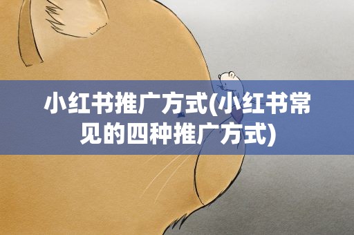 小红书推广方式(小红书常见的四种推广方式)