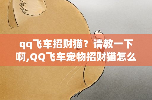 qq飞车招财猫？请教一下啊,QQ飞车宠物招财猫怎么样好不好