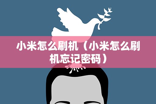 小米怎么刷机（小米怎么刷机忘记密码）