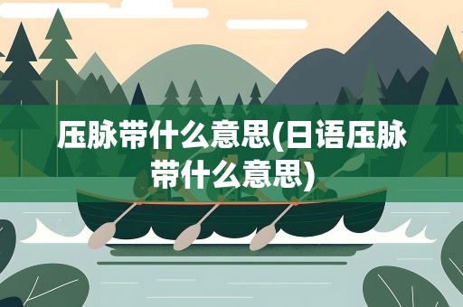 压脉带什么意思(日语压脉带什么意思)