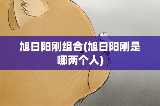旭日阳刚组合(旭日阳刚是哪两个人)