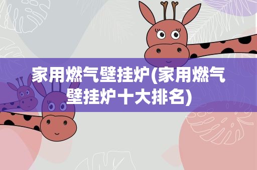 家用燃气壁挂炉(家用燃气壁挂炉十大排名)