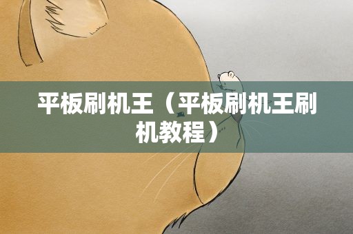平板刷机王（平板刷机王刷机教程）